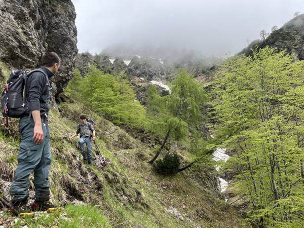 discesa lungo il versante Nord della forcella