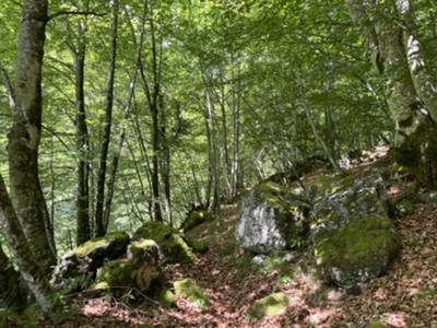 si inizia a salire preparandoci al muro... 