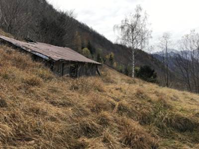 ricovero per il fieno poco prima della forcella della Cita