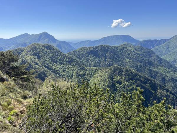 cime di Cresta: da sinistra a destra Agarial, Giaf, Venchiar e Givoli