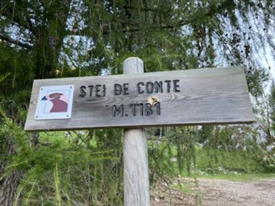 partenza località "stei de conte" a 1181mlsm