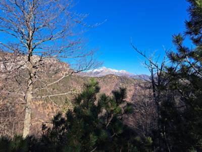 cima innevata del monte Verzegnis