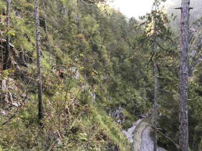 tratto leggermente esposto sopra il canale di San Lorenzo