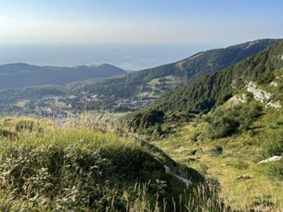 usciamo dal sottobosco