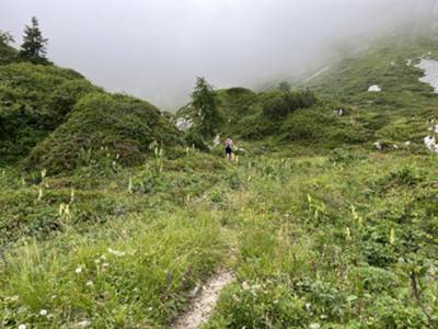 prateria alpina di Val Grande