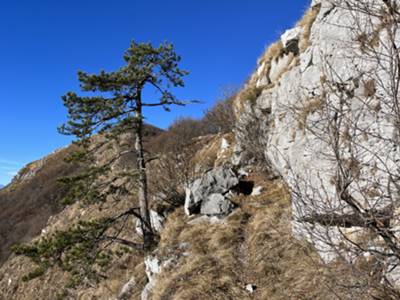 una comoda cengia ci accompagna verso il Flagjel