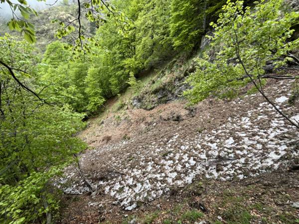 passaggio su piccolo ruscello 