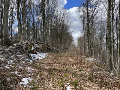 Poco prima della Cima Nord ci immettiamo su una comoda mulattiera