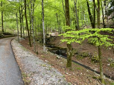 vasconi di raccolta acqua nei pressi di villa Emma