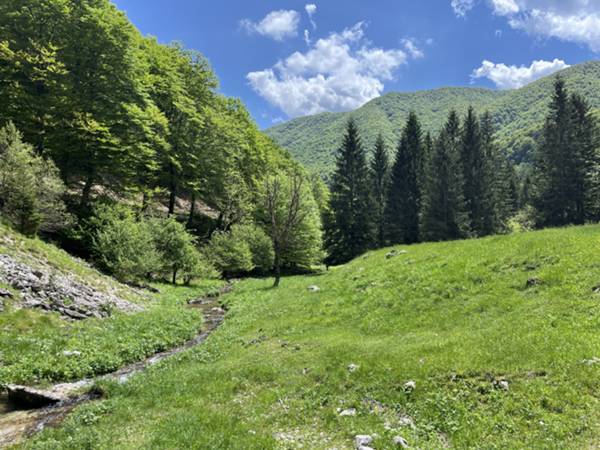 ci immettiamo sui prati prima dell'attravresamento del torrente Fraìna