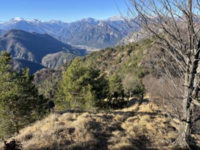 cresta del Lareseit: vista su Tramonti di Sotto