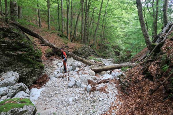 attraversamento di torrente Teglara