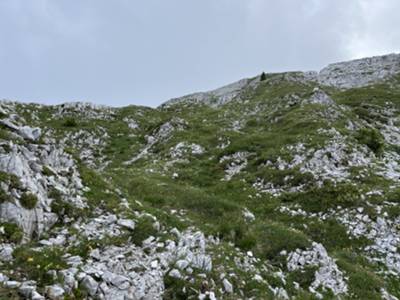 passaggio tra roccette carsiche in prateria alpina