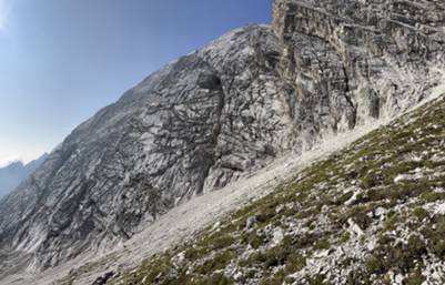 lo stambecco scende per il lato Sud