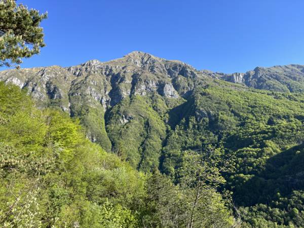 vista su monte Verzegnis