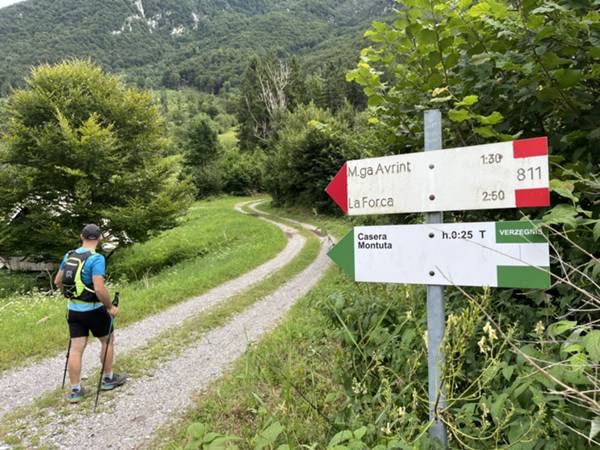 inizio sentiero da Sella Chianzutan 