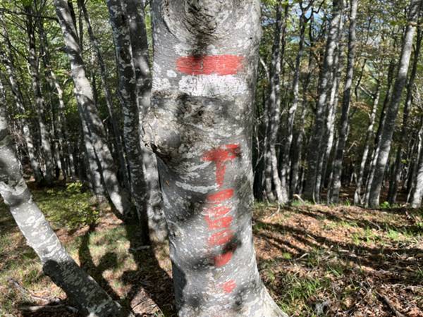 nei pressi della cima del Drea in direzione di Cuesta Spioleit