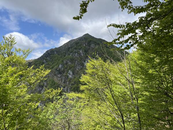 vista sul monte Verzegnis