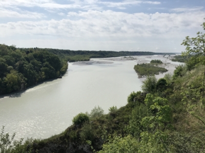 fiume Tagliamento da col Pion