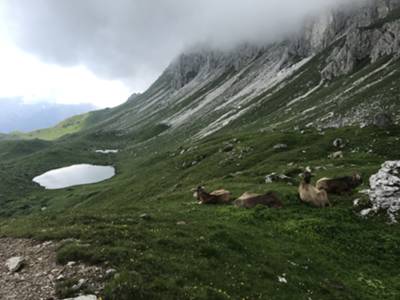 rientro ai laghi d'Olbe