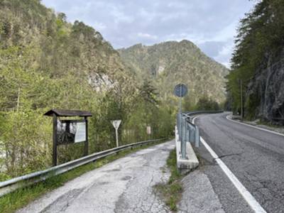 Strada di ingresso alla Foresta del Prescudin