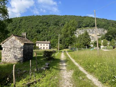 capitello dedicato a San Francesco in località "Piani/mont Disore"