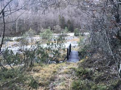 ponticello sul torrente Prescudin