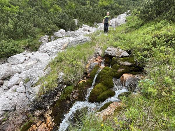 sorgente di Ciol de Piovin