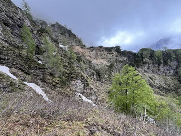 discesa lungo il versante Nord della forcella: Palòn