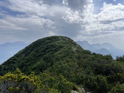 cima di monte Provagna