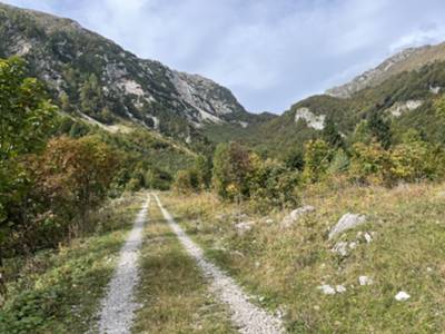 pista forestale verso malga Teglara