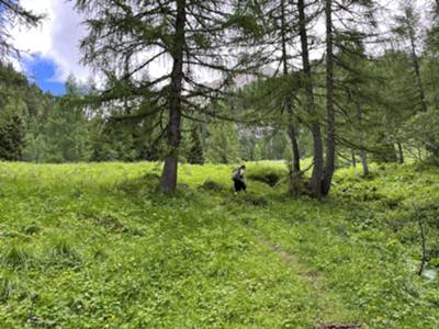 dalla base dei prati si intravede il tetto di malga Montemaggiore