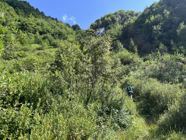 canalina di raccolta slavine