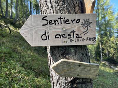 inizio sentiero da forcella Lastruta