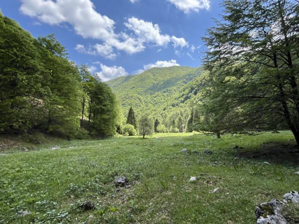 scendiamo sui prati delle sorgenti dell'Arzino