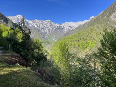 vista su val Prescudin