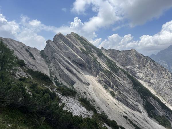 particolare su Pale de Ciuone