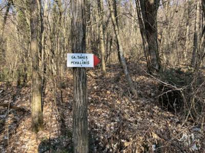 primo bivio con sentiero di collegamento a monte Valinis