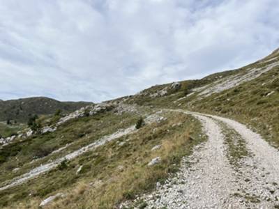 pista forestale verso malga Teglara