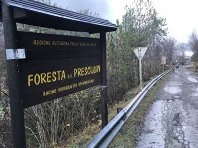 Ingresso foresta regionale del Prescudin