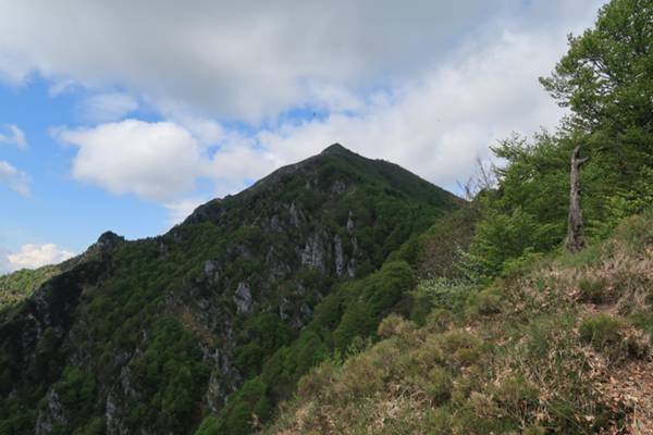 vista su Cuesta Spioleit