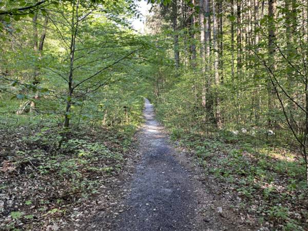 pista ciclabile sorgenti Arzino