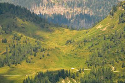 la strada verso Sauris con residui di tempesta Vaia nella parte alta