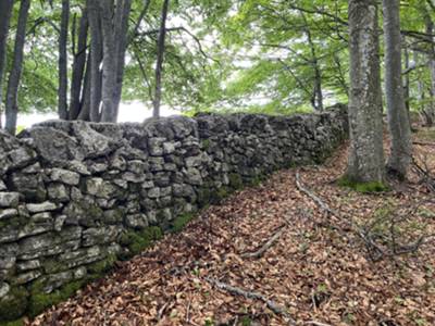 muro di pietra a secco lungo la discesa verso malga Jovet