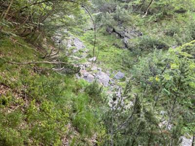 primo attraversamento di piccolo torrente