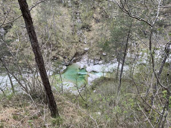 bellezza del sentiero verso Chiaschiàrmas lungo il torrente Giaveada