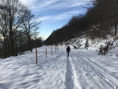 pista ciclopedonale "Venezia delle nevi"