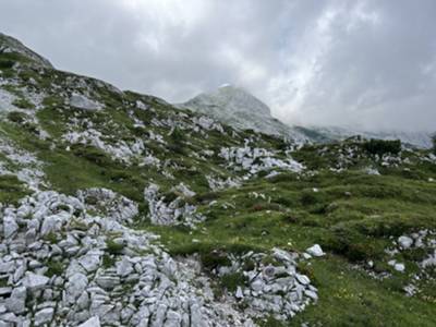 passaggio tra roccette carsiche in prateria alpina