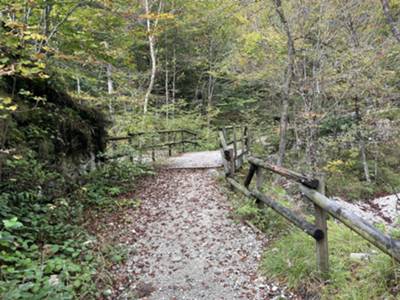 ponte nei pressi delle prime cascate