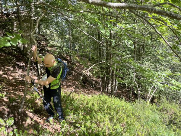 usciamo da sottobosco